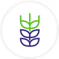 Alt image