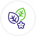 Alt image